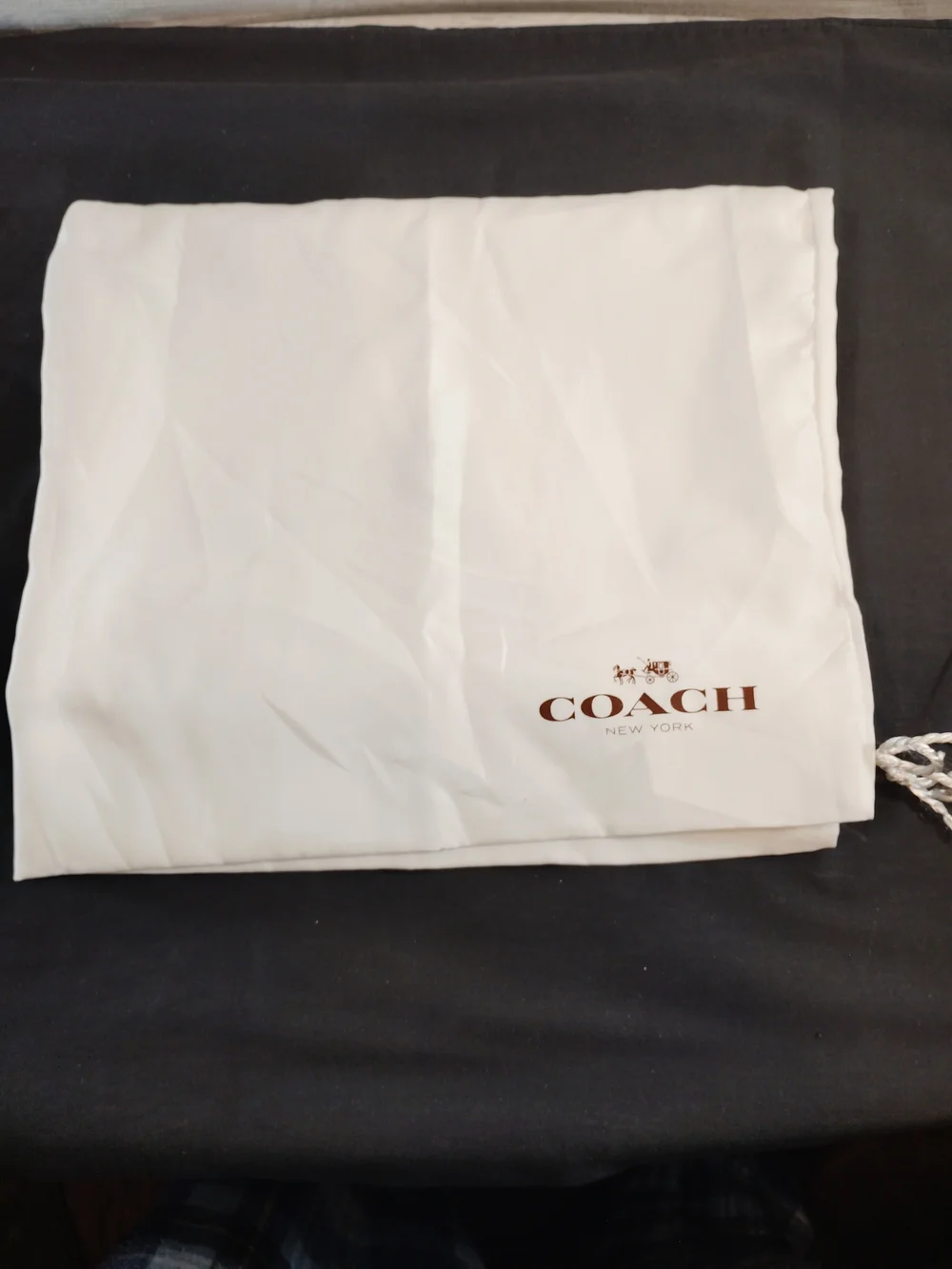 Coach Large White Drawstring Dust Bag